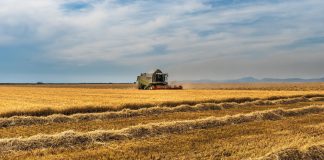 Унгария на нож срещу Брюксел. Брани фермерите си от украинското зърно „на всяка цена и с всички средства“