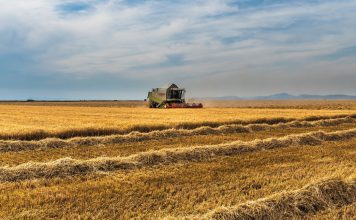 Унгария на нож срещу Брюксел. Брани фермерите си от украинското зърно „на всяка цена и с всички средства“