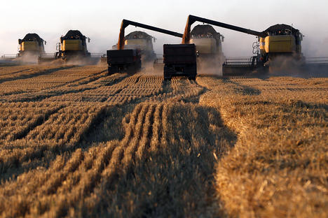 Русия ще стане световен лидер в износа на пшеница